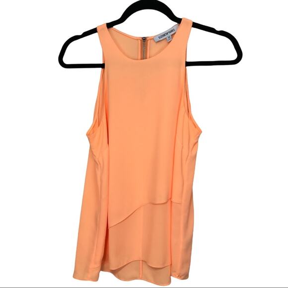 Elizabeth and James Cheridah Chiffon Layered Top - Picture 2 of 7